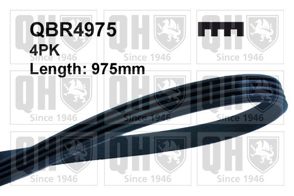 Поликлиновой ремень QUINTON HAZELL QBR4975