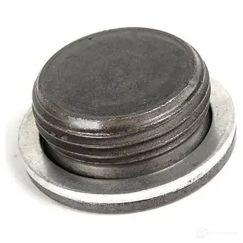 Резьбовая пробка с уплотн.кольцом
BMW 11361438338