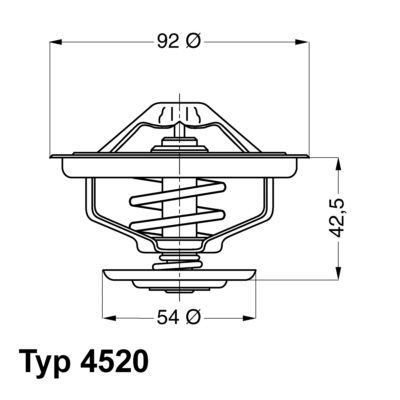 Термостат, охлаждающая жидкость BorgWarner 452080D