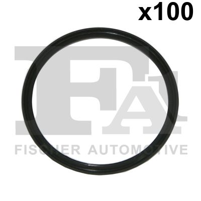 Уплотнительное кольцо FA1 076411100