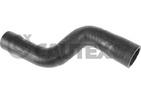 Шланг радиатора CAUTEX 016339