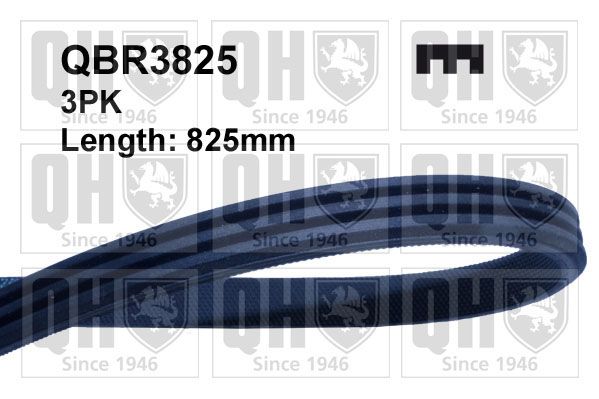 Поликлиновой ремень QUINTON HAZELL QBR3825