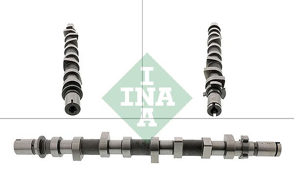 Распредвал INA 428019810