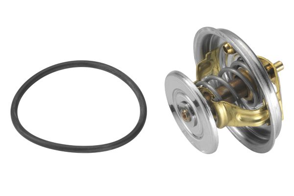 Термостат, охлаждающая жидкость BorgWarner 407879D