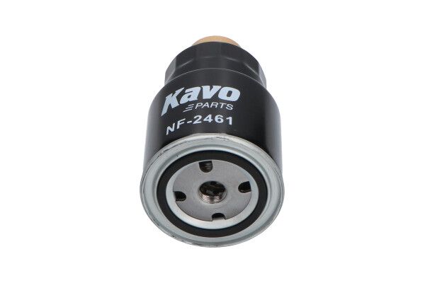 Топливный фильтр AMC Filter NF2461
