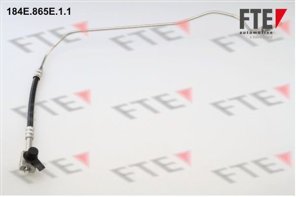Тормозной шланг FTE 184E865E11