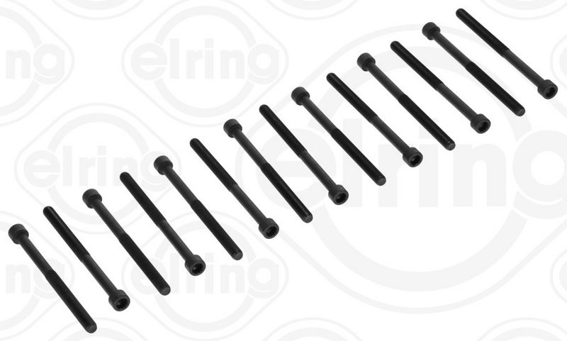Комплект болтов головки цилидра ELRING 709500