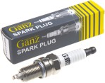 Запчасть GANZ GIP21691