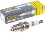 Запчасть GANZ GIP22068