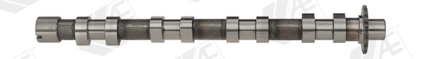 Распредвал AE CAM748