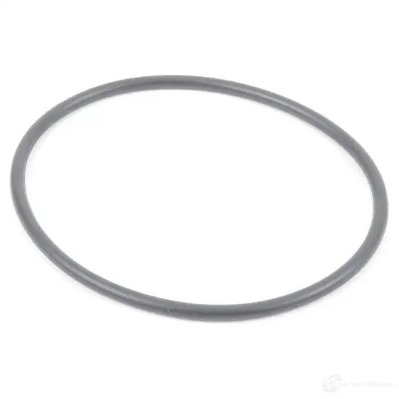 Кольцо круглого сечения
 BMW 16117188567