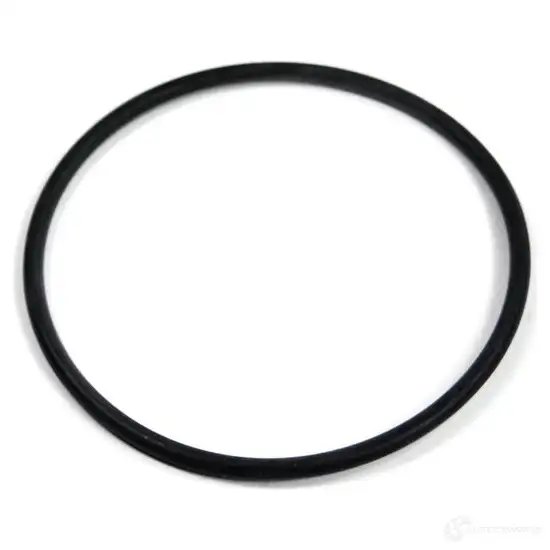 Уплотнительное кольцо D=77,0MM
 BMW 17211712965