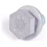 Болт с шестигранной головкой M10X17,5Z1-10.9
BMW 24407561393