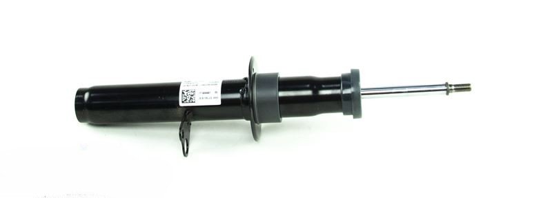 Federbein Vorn Links
 BMW 31316866607