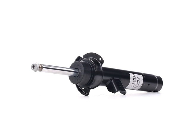Federbein Vorn Links
 BMW 31316874373