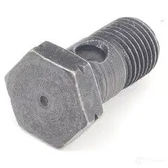 Пустотелый винт с обратным клапаном M14X1,5X27,4
 BMW 32416781261