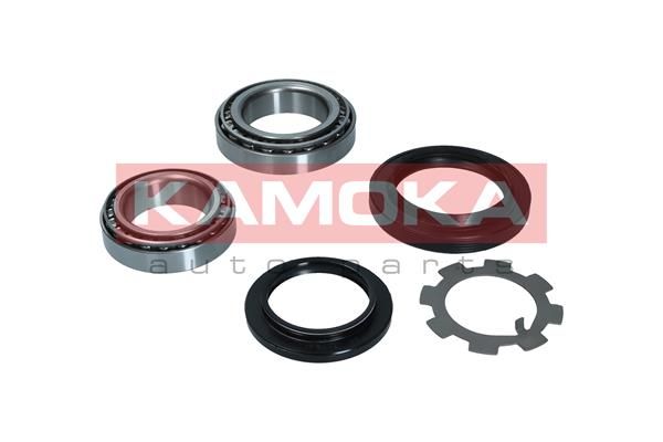 Комплект подшипника ступицы колеса KAMOKA 5600151