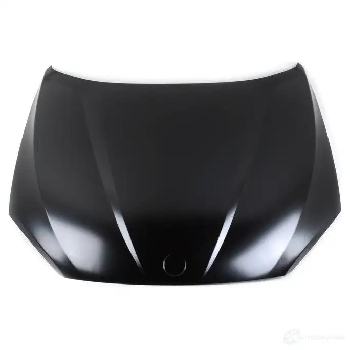 капот
 BMW 41002993151