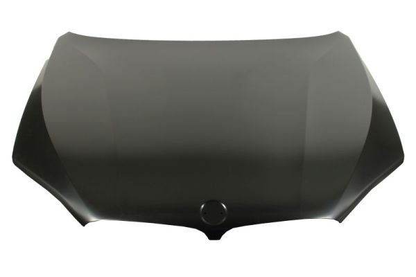 Капот
 BMW 41007381758