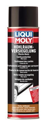 Защита скрытых полостей антикоррозионным и средствами LIQUI MOLY 6107