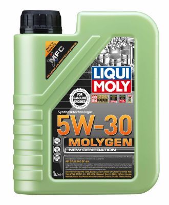 Моторное масло LIQUI MOLY 9041