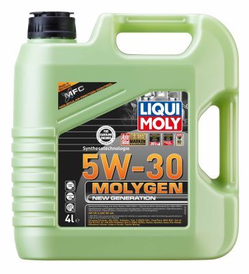 Моторное масло LIQUI MOLY 9089