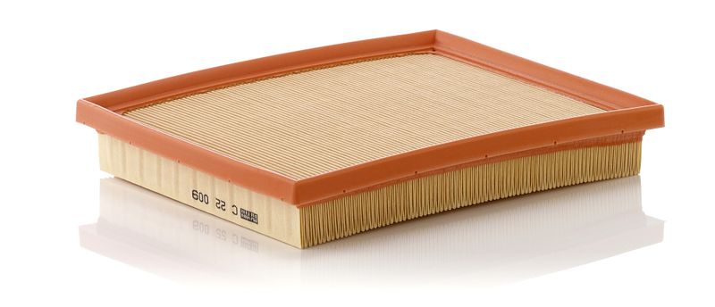 Воздушный фильтр MANN-FILTER C22009
