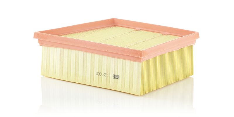 Воздушный фильтр MANN-FILTER C22031