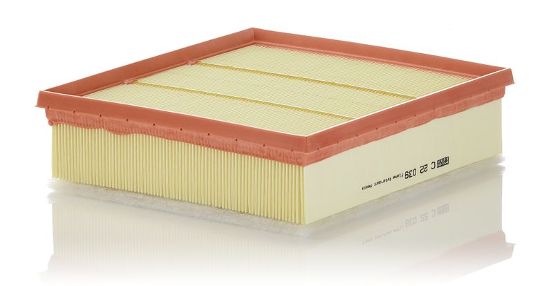 Воздушный фильтр MANN-FILTER C22039