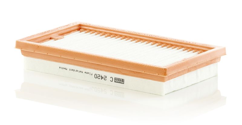 Воздушный фильтр MANN-FILTER C2420