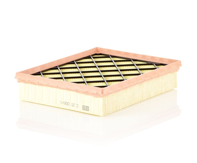 Воздушный фильтр MANN-FILTER C250081