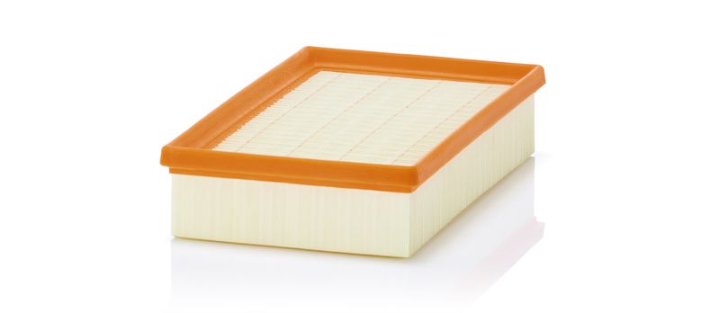 Воздушный фильтр MANN-FILTER C25009