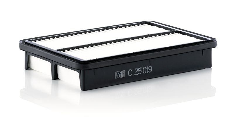 Воздушный фильтр MANN-FILTER C25019