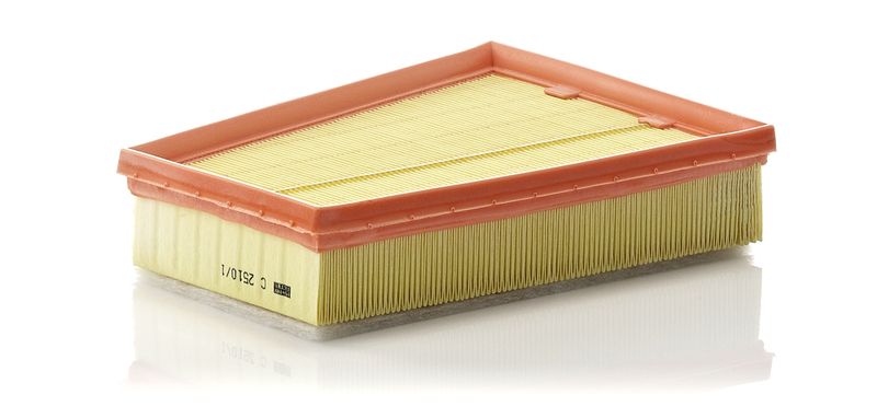 Воздушный фильтр MANN-FILTER C25101