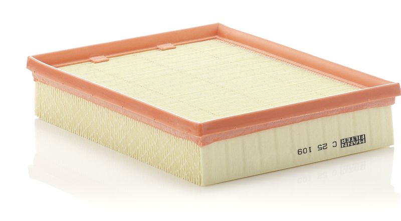 Воздушный фильтр MANN-FILTER C25109