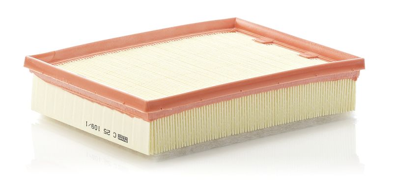 Воздушный фильтр MANN-FILTER C251091