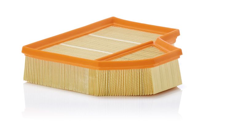 Воздушный фильтр MANN-FILTER C25111