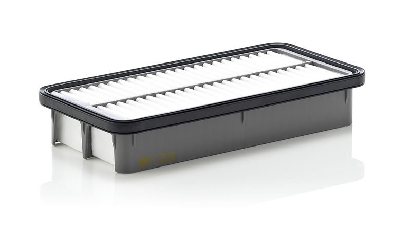 Воздушный фильтр MANN-FILTER C2519