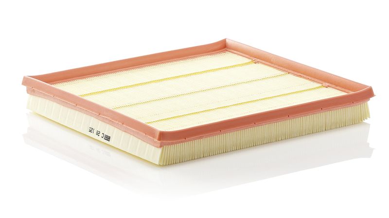 Воздушный фильтр MANN-FILTER C28125