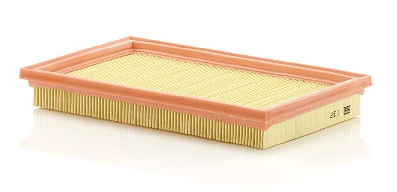 Воздушный фильтр MANN-FILTER C2851