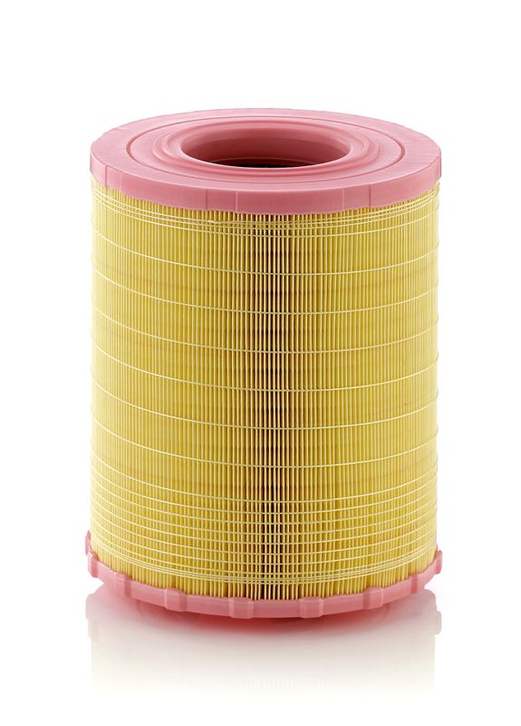 Воздушный фильтр MANN-FILTER C29010