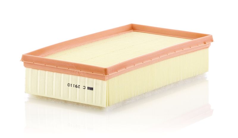 Воздушный фильтр MANN-FILTER C29110