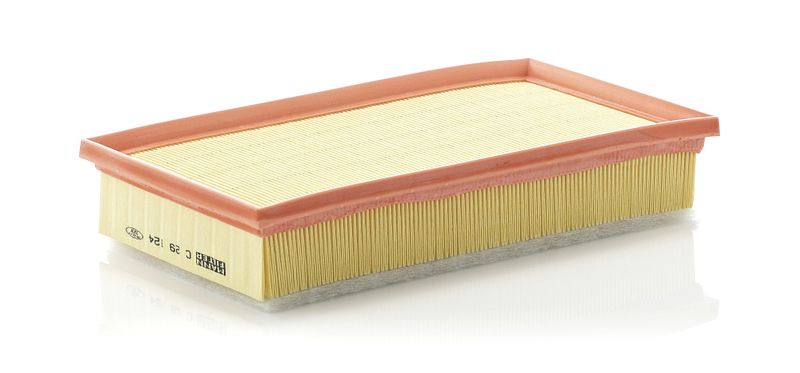 Воздушный фильтр MANN-FILTER C29124