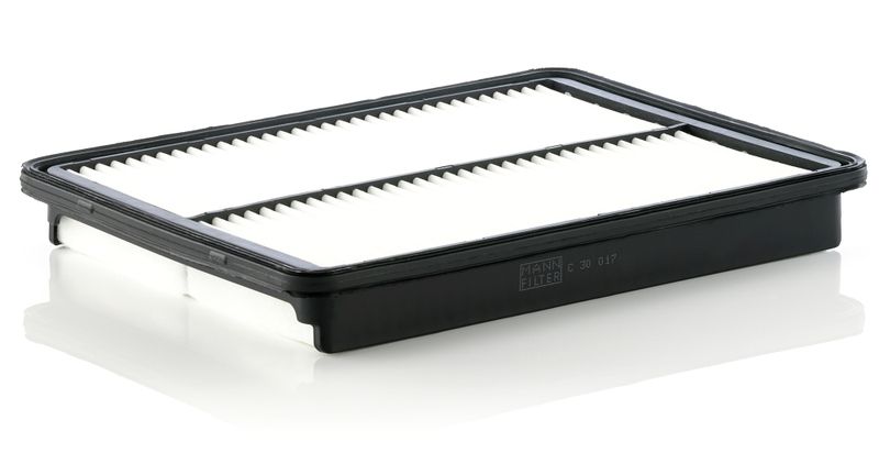 Воздушный фильтр MANN-FILTER C30017