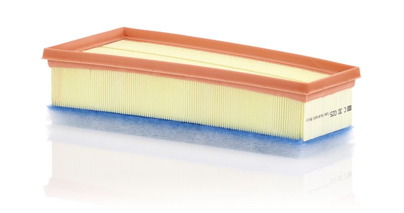 Воздушный фильтр MANN-FILTER C30025