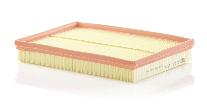 Воздушный фильтр MANN-FILTER C301254