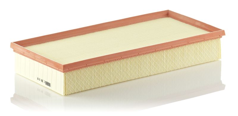 Воздушный фильтр MANN-FILTER C39219