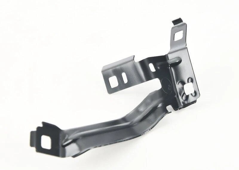 Halter Seitenwand Vorne Links 2
 BMW 41358067657