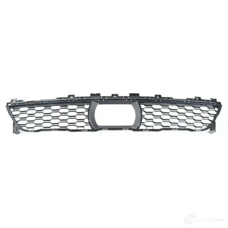Решетка Середина Acc Внизу Открытая
 BMW 51118069888
