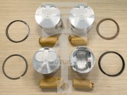 Запчасть ALL4MOTORS EPN1233